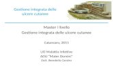 Gestione integrata delle ulcere cutanee Master I livello Gestione integrata delle ulcere cutanee Catanzaro, 2011 UO Malattie Infettive AOU Mater Domini.