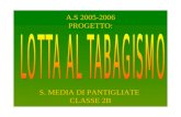 A.S 2005-2006 PROGETTO: S. MEDIA DI PANTIGLIATE CLASSE 2B.