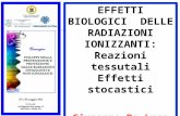 EFFETTI BIOLOGICI DELLE RADIAZIONI IONIZZANTI: Reazioni tessutali Effetti stocastici Giuseppe De Luca ISPRA.