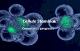 Cellule Staminali: Conoscenze pregresse. Definizione Le cellule staminali sono degli elementi cellulari madre da cui hanno origine altre cellule più mature.