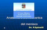 Anatomia e biomeccanica del menisco Anatomia e biomeccanica del menisco Dr. P.Spinelli.