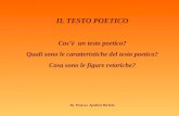 IL TESTO POETICO Cosè un testo poetico? Quali sono le caratteristiche del testo poetico? Cosa sono le figure retoriche? By Prof.ssa Apolloni Michela.