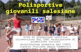 Polisportive giovanili salesiane Ente di promozione sportiva riconosciuto dal CONI Associazione di promozione sociale Associazione promossa dal CIOFS (Centro.