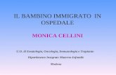 IL BAMBINO IMMIGRATO IN OSPEDALE MONICA CELLINI U.O. di Ematologia, Oncologia, Immunologia e Trapianto Dipartimento Integrato Materno-Infantile Modena.
