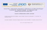 Corso Pon Educazione linguistica e letteraria in unottica plurilingue Presidio IIS Pacioli-Grimaldi di Catanzaro Lido ANNO SCOLASTICO 2010-2011 Lavoro.