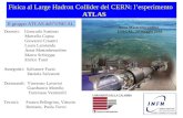 Fisica al Large Hadron Collider del CERN: lesperimento ATLAS Docenti: Giancarlo Susinno Marcella Capua Giovanni Crosetti Laura Larotonda Anna Mastroberardino.