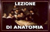PERCORSO Anatomia nel medioevo (1200-1400) Anatomia nel medioevo (1200-1400) Il Rinascimento(1400-1500) Il Rinascimento(1400-1500) Dal 1600 al 1800:le.