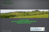 Caso di studio Azienda Agricola Pasolini dallonda Barberino Val delsa Dott.Agr. Fabrizio Baggiani.