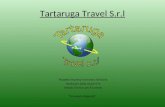 Tartaruga Travel S.r.l Progetto Impresa Formativa Simulata Realizzato dalla classe 4^b Istituto Tecnico per il turismo Francesco Algarotti.