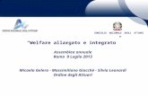 Welfare allargato e integrato Assemblea annuale Roma 9 Luglio 2013 Micaela Gelera - Massimiliano Giacchè - Silvia Leonardi Ordine degli Attuari CONSIGLIO.