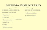 SISTEMA IMMUNITARIO DIFESE ASPECIFICHE: Barriere anatomiche Fagocitosi Lisozima Complemento Interferon Febbre Infiammazione DIFESE SPECIFICHE Fattori solubili.