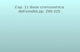 Cap. 11 Base cromosomica delleredità pp. 299-325.