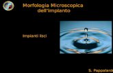 Morfologia Microscopica dellimpianto Impianti lisci S. Pappalardo.