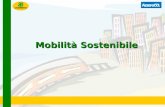 Mobilità Sostenibile. Parco veicoli in Italia Parco circolante in Italia: oltre 36 milioni di veicoli, 3 milioni e 750 mila veicoli commerciali e 6 milioni.