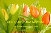 CHE COSÈ UNA MAMMA di Francesco Pastonchi Maria Eugenia Mancosu anno scolastico 2006 - 07.
