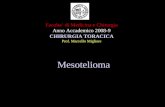 Mesotelioma Facolta di Medicina e Chirurgia Anno Accademico 2008-9 CHIRURGIA TORACICA Prof. Marcello Migliore.