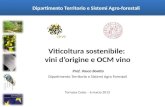 Viticoltura sostenibile: vini dorigine e OCM vino Prof. Vasco Boatto Dipartimento Territorio e Sistemi Agro Forestali Torrazza Coste – 6 marzo 2013 Dipartimento.