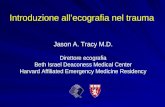 Introduzione allecografia nel trauma Jason A. Tracy M.D. Direttore ecografia Beth Israel Deaconess Medical Center Harvard Affiliated Emergency Medicine.