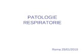 PATOLOGIE RESPIRATORIE Roma 25/01/2010. PATOLOGIE RESPIRATORIE In condizioni fisiologiche -La pressione parziale di O 2 nel sangue arterioso (pO 2 ) è
