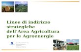 Amedeo DAntonio, Maria Rosaria Ingenito Settore SIRCA Linee di indirizzo strategiche dellArea Agricoltura per le Agroenergie.