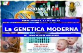 Slide N. 54 La GENETICA MODERNA BIOLOGIABIOLOGIA Prof. Fabrizio CARMIGNANI fabcar@hotmail.it  IISS Mattei – Rosignano S. (LI)