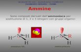 Ammine N H H H N H H R 3D ammoniaca NH 3 Sono composti derivati dallammoniaca per sostituzione di 1, 2 o 3 idrogeni con gruppi organici SILSIS-MI VIII.