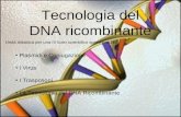 Tecnologia del DNA ricombinante Unità didattica per una IV liceo scientifico sperimentale Plasmidi e Coniugazione I Virus I Trasposoni La Tecnologia del.