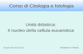 Corso di Citologia e Istologia Unità didattica: Il nucleo della cellula eucariotica SILSIS-MI VIII CICLOFEDERICA FARINA.