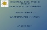 UNIVERSITA DEGLI STUDI DI CASSINO FACOLTA DI SCIENZE MOTORIE Corso di Laurea L-22 AA 2009-2010 ANATOMIA PER IMMAGINI Dr.ssa Veronica Papa.
