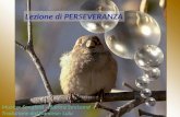Lezione di PERSEVERANZA Musica: Songbird – Barbra Streisand Traduzione dal francese: Lulu.