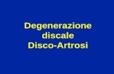 Degenerazione discale Disco-Artrosi. Degenerazione del disco (perdita del suo contenuto dacqua) Disco giovane Disco di 75 anni.