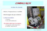 1 Fulvio TESSAROTTO COMPASS RICH - RICH-1: Preparazione e run2009 - Monitoraggio del gas radiatore - La fast circulation - il sistema - le foto dellinstallazione.