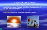 BIODIESEL E GLICEROLO Il biodiesel non può essere considerato né una fonte di energia rinnovabile, né una fonte di energia esauribile. Il glicerolo è un.
