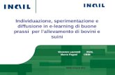 Individuazione, sperimentazione e diffusione in e-learning di buone prassi per lallevamento di bovini e suini Vincenzo Laurendi INAIL Marco PaganiCBIM.