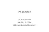 Polmonite A.Baritussio AA 2013-2014 aldo.baritussio@unipd.it.