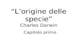 Lorigine delle specie Charles Darwin Capitolo primo.