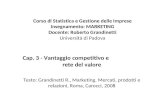 Corso di Statistica e Gestione delle Imprese Insegnamento: MARKETING Docente: Roberto Grandinetti Università di Padova Cap. 3 - Vantaggio competitivo e.