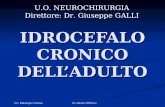 U.O. Radiologia Cremona Dr. Antonio Dell'Osso IDROCEFALO CRONICO DELLADULTO U.O. NEUROCHIRURGIA Direttore: Dr. Giuseppe GALLI.