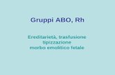 Gruppi ABO, Rh Ereditarietà, trasfusione tipizzazione morbo emolitico fetale.