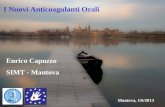 I Nuovi Anticoagulanti Orali Mantova, 1/6/2013 Enrico Capuzzo SIMT - Mantova.