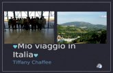 Mio viaggio in Italia Tiffany Chaffee. Urbino Universita di Urbino era la mia casa durante il mio tempo in Italia.