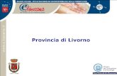 Provincia di Livorno. Smart Servizi di Marketing, Ambiente, Risorse del Territorio Indice  Utenti e Obiettivi  Front Office e Back Office  I Partner: