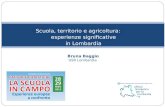 Scuola, territorio e agricoltura: esperienze significative in Lombardia Bruna Baggio USR Lombardia.