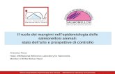 A. Ricci (IZSVe) Istituto Zooprofilattico Sperimentale delle Venezie · OIE Reference Laboratory for Salmonella Il ruolo dei mangimi nell’epidemiologia.