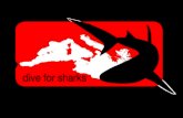 Squali: Non solo il grande squalo bianco Dive for Sharks Esistono circa 500 specie diverse di squalo.