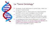 La “Gene Ontology” Ontologia: studio dell’essere in quanto tale, e delle sue categorie fondamentali Ontologia: studio dell’essere in quanto tale, e delle.