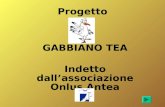 Progetto GABBIANO TEA Indetto dall’associazione Onlus Antea.