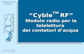 Telelettura dei contatori “Cyble TM RF” Modulo radio per la telelettura dei contatori d’acqua “CybleTM RF” Modulo radio per la telelettura dei contatori.