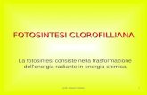 Prof. Gianni Caniato1 FOTOSINTESI CLOROFILLIANA La fotosintesi consiste nella trasformazione dell'energia radiante in energia chimica.