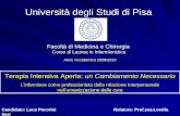 Università degli Studi di Pisa Facoltà di Medicina e Chirurgia Corso di Laurea in Infermieristica Terapia Intensiva Aperta: un Cambiamento Necessario L’infermiere.